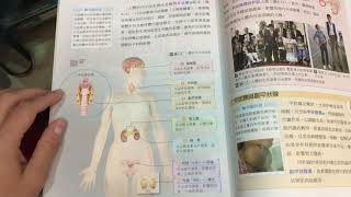 內分泌系統｜國一生物上學期第三次段考