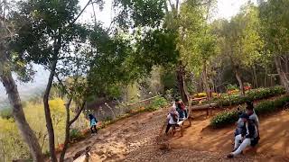 Taman bunga Hutan pinus mangunan dlingo bantul jogjakarta indonesia #wisatajogja #hutanpinusmangunan