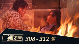 一週多情 EP308-312｜愛的妒火！淑娟唆使來富縱火邱診所！