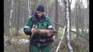 Промысел пушнины в тайге  Часть 1