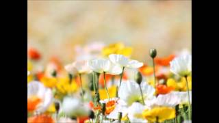 Etude No 8.op.10 by F.Chopin played by Zhana Demirova