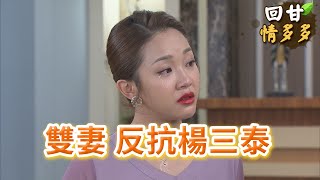 《回甘情多多》EP214 雙妻 反抗楊三泰