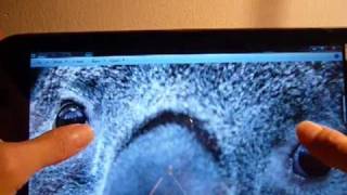 Windows 7 Tablet Atom N450 1.66GHz 2GB RAM 3G 802.11b/g/n JK01-TT