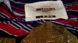 WWE World Heavyweight Title Belt - Detailed Video 1