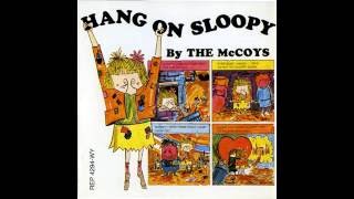 The McCoys - 11 I Can't Explain It (HQ)