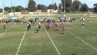 Saddleback Valley cougars