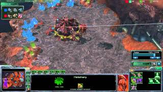 StarCraft 2 - [Z] Speedling Response to Mass Reaper - Strategy
