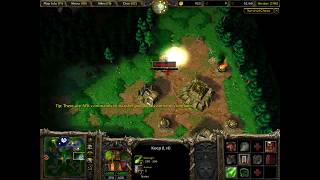 Warcraft 3 - TFT Survival Chaos Custom Game #10