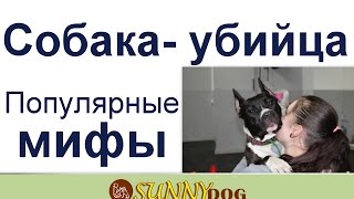 правда о собаках убийцах  или разбер правда или миф пишут в статьях и газетах