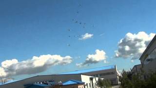 высоколётные  голуби  55