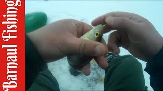 Зимняя рыбалка 2017-2018.Ловля на чертика.Лещи монстры)))(Barnaul Fishing)