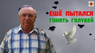 ЕЩЁ ПОПЫТКА ГОНЯТЬ ГОЛУБЕЙ!
