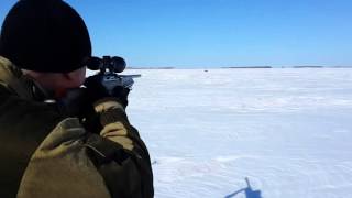 Охота на кабана. Benelli Argo .30-06.