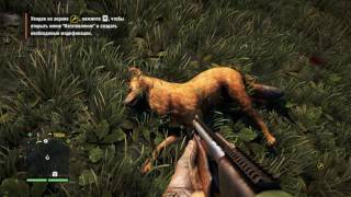 ◙ Far Cry 4 ◙ Слон и рысь дают просраЦЦо полное прохождение на русском №4