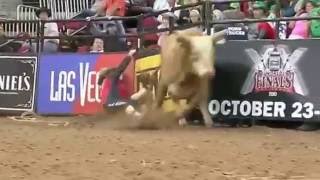 Rodeio, esporte radical.