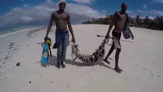 KENIA 2018 DIANI BEACH