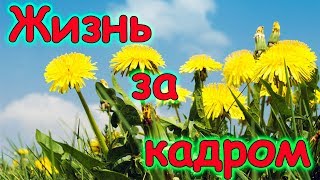 Жизнь за кадром. Обычные будни. (часть 136) (09.17г.) Семья Бровченко.