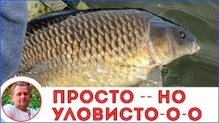 Макушатник - проще некуда. Изготовление.  Бюджетная ловля карпа.