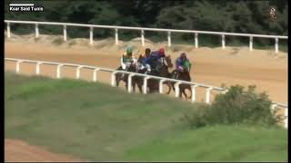 PRIX OUARDET ELLIL (C) 2019 Vainqueur Istanboul El Arab.