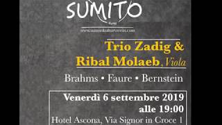 Trio Zadig & Ribal Molaeb