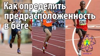 Как определить предрасположенность в беге