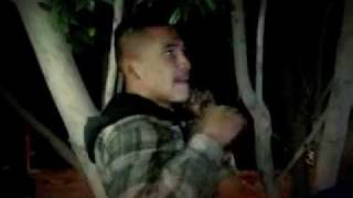 TECOLIN ROBANDO AUTOS AFUERA DE IRISH MEXICALI
