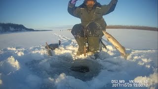 Ловим щуку - вечерний клев окуня! Якутия Yakutia