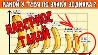 Как зависит длина члена от знака зодиака? Рейтинг пенисов по гороскопу