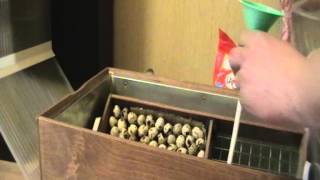инкубатор блиц-72
