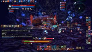 Tera Online- Velik's Hold 1º Boss (Archer)