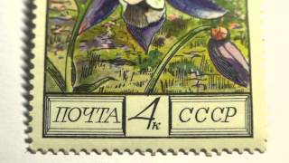 Почтовая марка. Почта СССР. Цветы. 1976 г. Водосбор олимпийский.