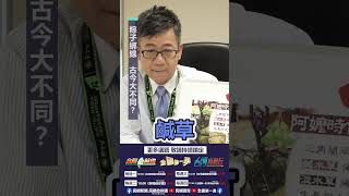 ▌粽子綁線 古今大不同｜阿愷佮你講 EP22