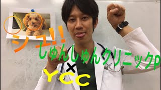 本日の〇〇シュッ！！#3