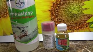 Фунгицид ПРЕВИКУР для обеззараживания семян и грунта. Где купить? Чем можно заменить?