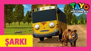 TAYO YENİ Arabalı Çocuk Şarkıs l Bir Safari Macerası l çizgi film türkçe izle l  KÜÇÜKOTOBÜSTAYO
