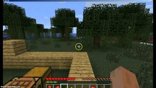 Bird.выжывание в minecraft.играю без звука