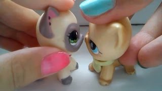 Littlest Pet Shop(LPS)"Любовь пацанки"1 сезон 11 серия"Я тебя в землю закопаю!"