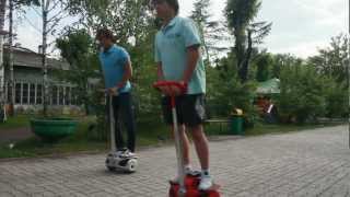 Robin Clip Krasnoyarsk