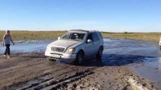ML 320 Не паркетник!!!