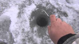 Рыбалка на 8 марта в Лебедевке и кое-что ещё.....