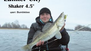 Ловля судака в сумерках на Shaker 4.5 (Bumblebbe) от Lunker City