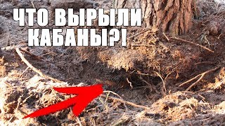 НЕ ОЖИДАЛ ЧТО КАБАНЫ ВЫРОЮТ ТАКОЕ! ТАК Я ЕЩЕ НЕ НАХОДИЛ / Russian Digger
