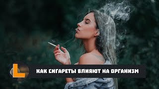 Как сигареты влияют на организм (2018)