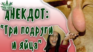 ПОШЛЫЙ АНЕКДОТ /  ТРИ ПОДРУГИ И ЯЙЦА