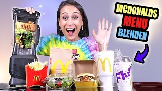 HEEL MCDONALD'S MENU IN EEN BLENDER STOPPEN! || Mix of Niks
