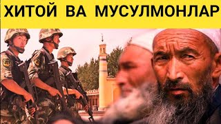 ХИТОЙЛАР ВА МУСУЛМОНЛАР ОРТАСИДА НИМА САБАБДАН НИЗО БОР ? / XIYOY VA MUSULMONLAR