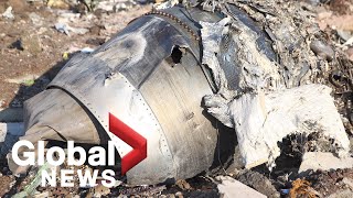 Dozens of Canadians killed in plane crash near Tehran