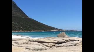 Nudist beach. Cape Town
