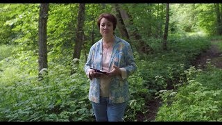 1374. Хлеб на каждый день. На кровле царского дома.