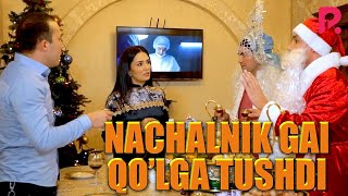 Akula - Nachalnik GAI qo'lga tushdi | Акула - Началник ГАИ кулга тушди